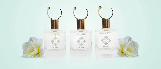 Memoize London Perfumes: Decoding Art Of Olfaction