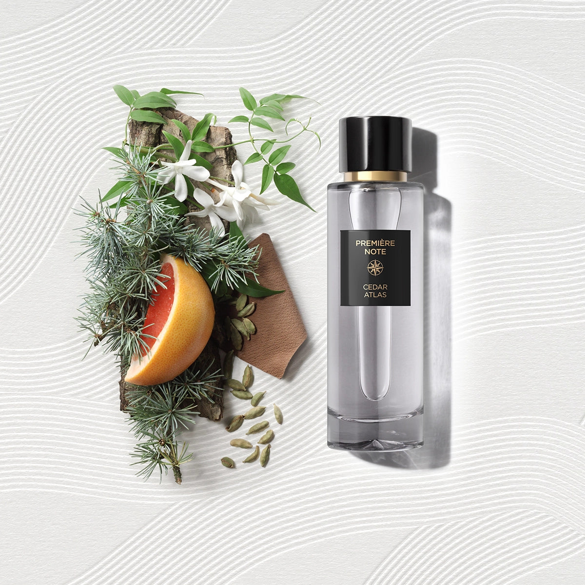 Cedar Atlas by Première Note – A woody-spicy fragrance available at Hallburg.ae. 