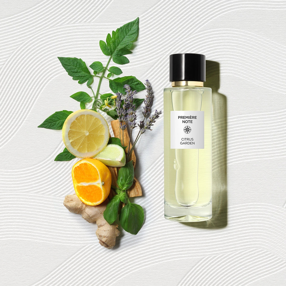 Citrus Garden by Première Note – A citrus-floral fragrance available at Hallburg.ae. 