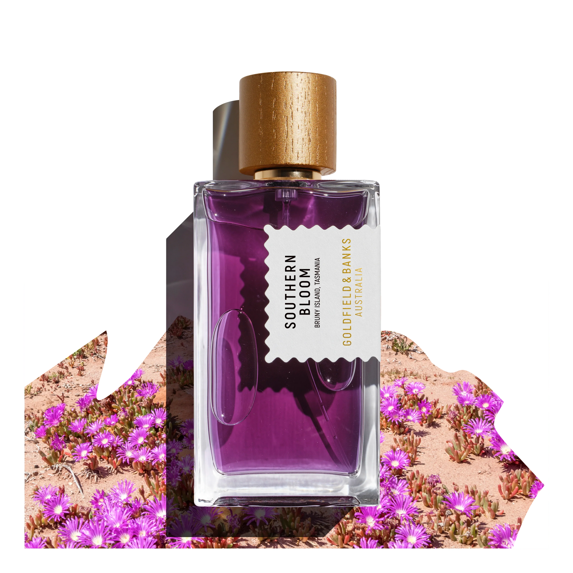 Southern Bloom - Goldfield & Banks |  Hallburg AE. 